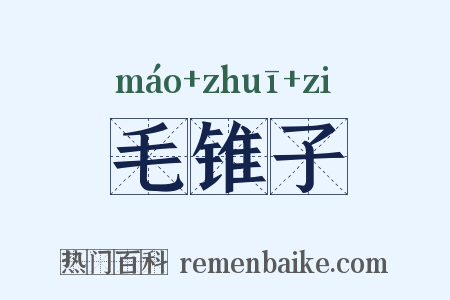 毛锥子是什么意思的图片
